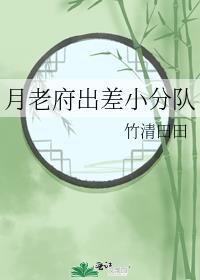 月老府出差小分队封面