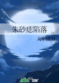 朱砂痣陷落封面