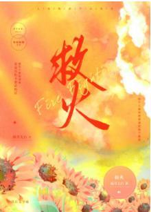救火封面