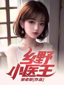 乡野小医王弼老耶封面