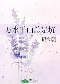 万水千山总是坑封面