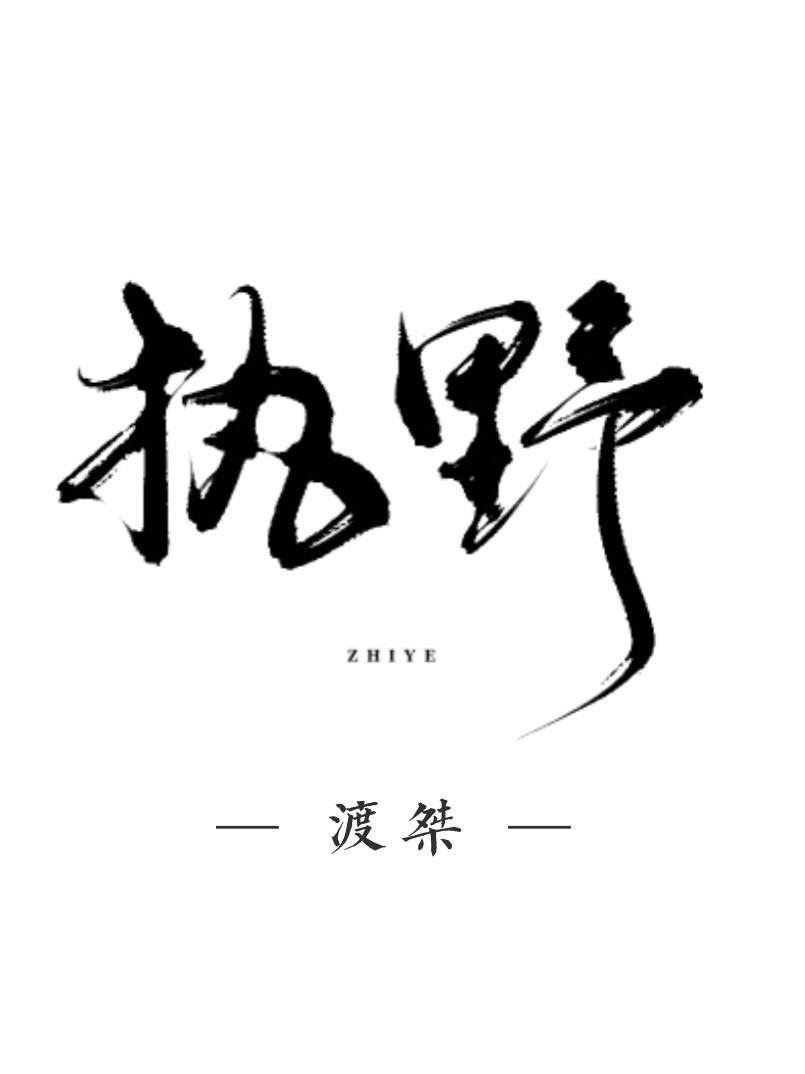 执野封面