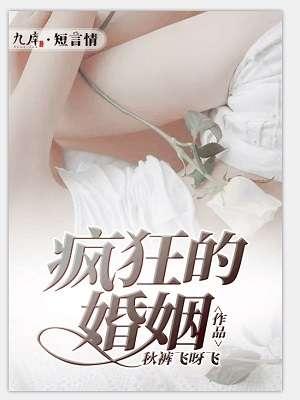 疯狂的婚姻封面