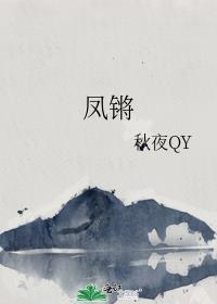 凤锵封面