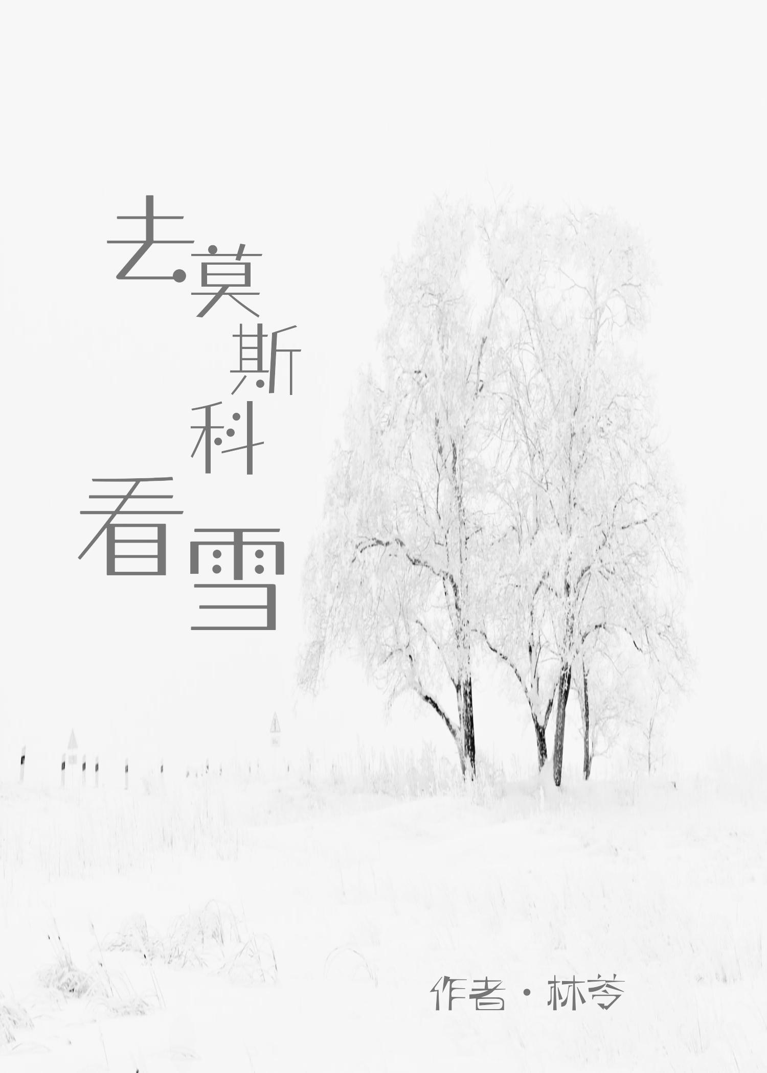 去莫斯科看雪封面