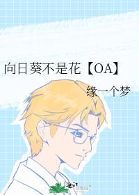 向日葵不是花【OA】封面
