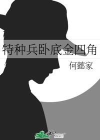 特种兵卧底金四角封面