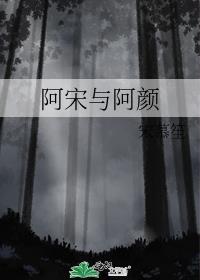 阿宋与阿颜封面
