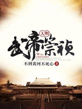 大明武帝崇祯封面