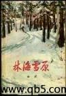 林海雪原封面