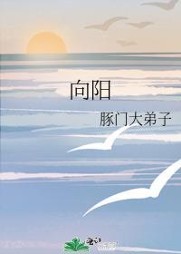 向阳封面