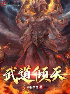武道倾天封面