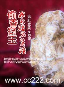 偷香窃玉:我的赌石生涯封面