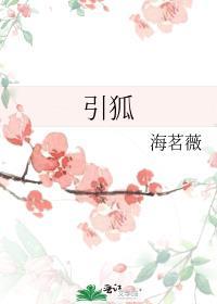 引狐封面