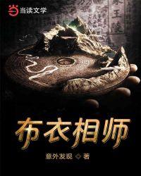 布衣相师封面