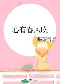心有春风吹封面