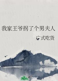 我家王爷拐了个男夫人封面