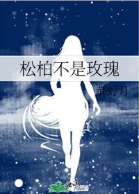 松柏不是玫瑰封面