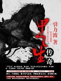 甲乙生传奇封面
