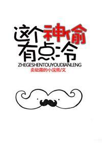 这个神偷有点冷封面