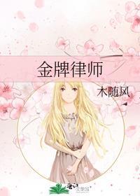 金牌律师封面