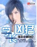 学长凶猛封面