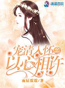 宠清入怀之以心相许封面