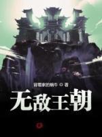 无敌王朝封面