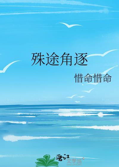 殊途角逐封面