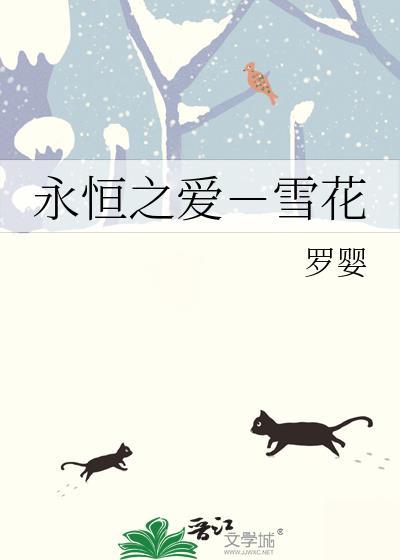永恒之爱－雪花封面