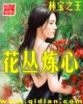 花丛炼心封面