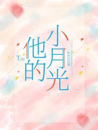 他的小月光封面