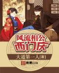 风流相公西门庆封面