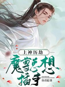 上神历劫,魔尊总想插手封面