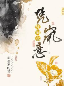 凭阑意,凭岚意封面