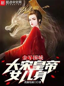 金军围城，大宋皇帝女儿身封面