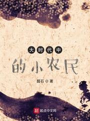 大时代中的小农民封面