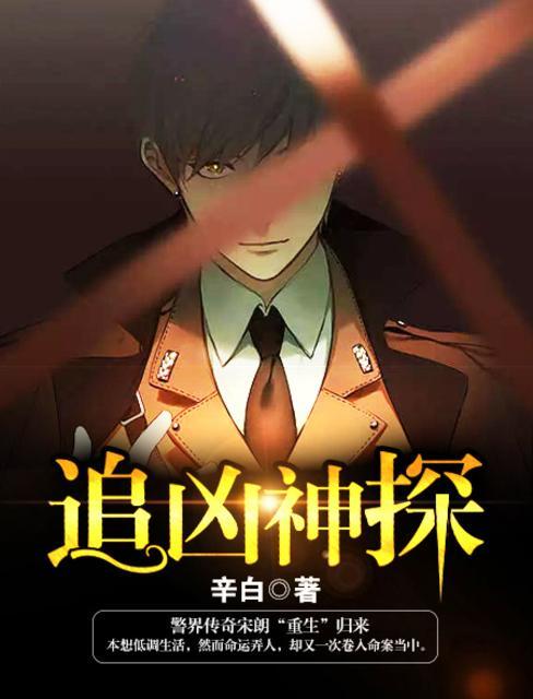 追凶神探封面