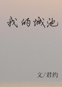 我的城池封面