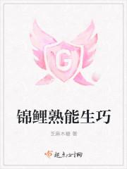 锦鲤熟能生巧封面
