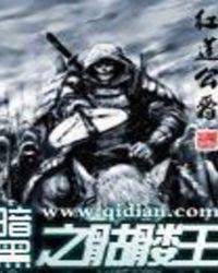 暗黑之骷髅王封面