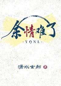 余情难了封面
