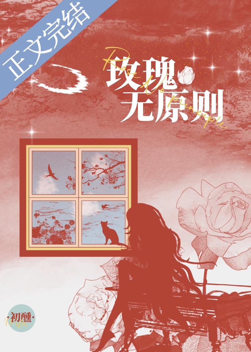 玫瑰无原则封面