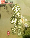 步步生莲封面