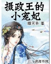 摄政王的小宠妃封面