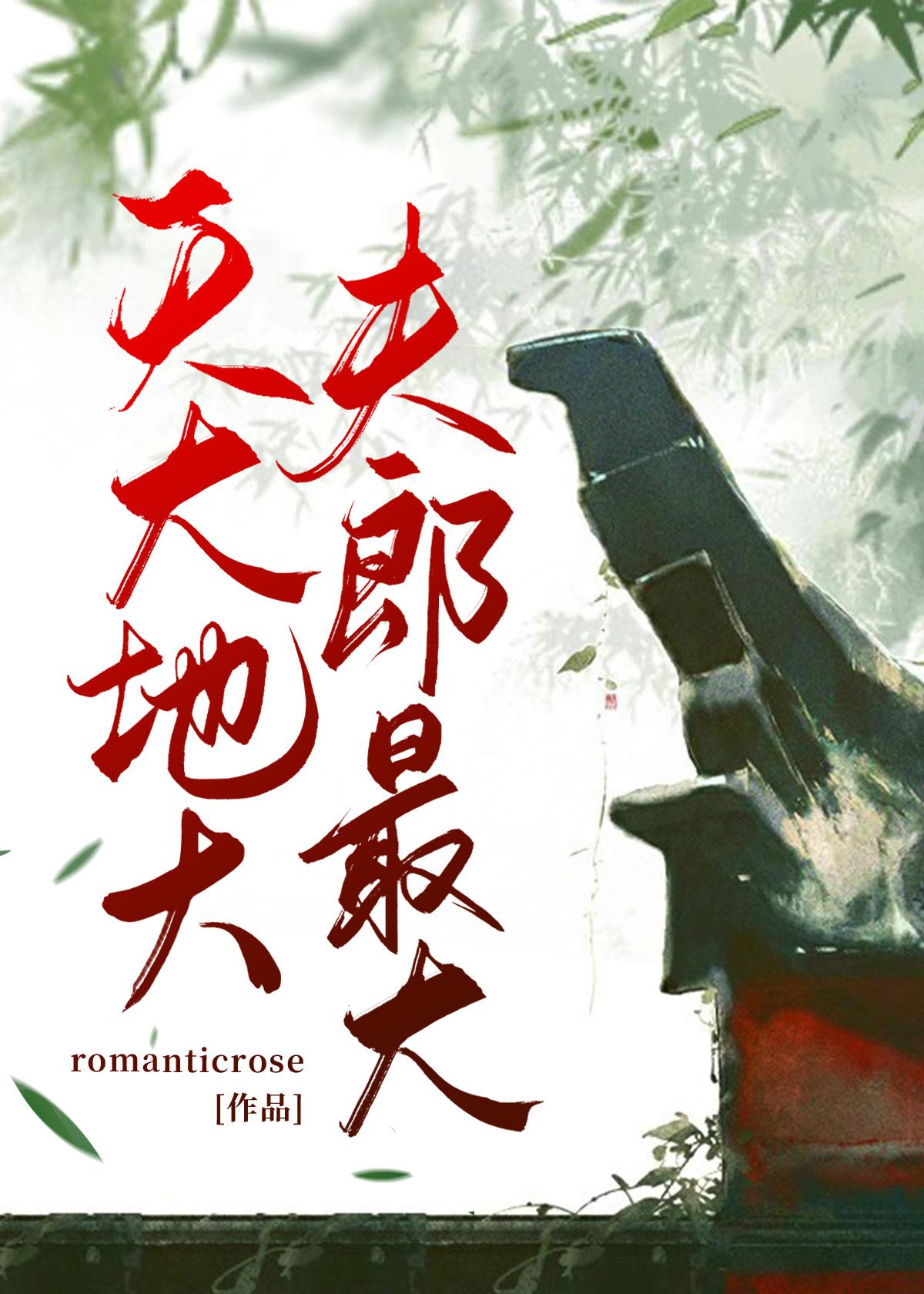 天大地大,夫郎最大封面