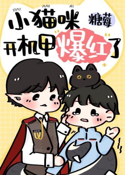 小猫咪开机甲爆红了封面