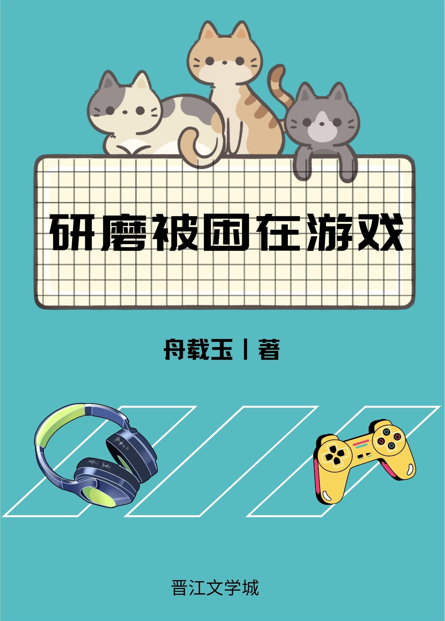 研磨猫猫被困在游戏封面