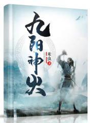 九阳神火封面