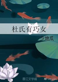杜氏有巧女封面